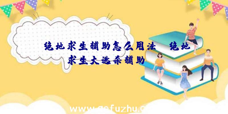 「绝地求生辅助怎么用法」|绝地求生大逃杀辅助puga